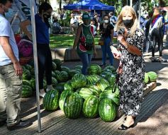 Foto de la galería: Feria de sandias misioneras en Plaza San Martín de Posadas