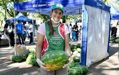 Foto de la galería: Feria de sandias misioneras en Plaza San Martín de Posadas