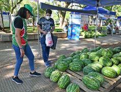 Foto de la galería: Feria de sandias misioneras en Plaza San Martín de Posadas
