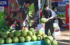 Foto de la galería: Feria de sandias misioneras en Plaza San Martín de Posadas