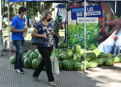 Foto de la galería: Feria de sandias misioneras en Plaza San Martín de Posadas