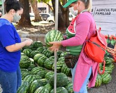 Foto de la galería: Feria de sandias misioneras en Plaza San Martín de Posadas