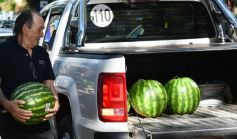 Foto de la galería: Feria de sandias misioneras en Plaza San Martín de Posadas