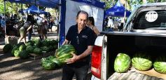 Foto de la galería: Feria de sandias misioneras en Plaza San Martín de Posadas