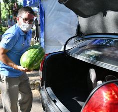 Foto de la galería: Feria de sandias misioneras en Plaza San Martín de Posadas