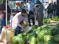 Foto de la galería: Feria de sandias misioneras en Plaza San Martín de Posadas