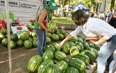 Foto de la galería: Feria de sandias misioneras en Plaza San Martín de Posadas