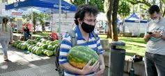 Foto de la galería: Feria de sandias misioneras en Plaza San Martín de Posadas