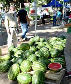 Foto de la galería: Feria de sandias misioneras en Plaza San Martín de Posadas