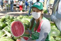 Foto de la galería: Feria de sandias misioneras en Plaza San Martín de Posadas