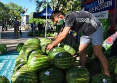 Foto de la galería: Feria de sandias misioneras en Plaza San Martín de Posadas