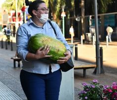 Foto de la galería: Feria de sandias misioneras en Plaza San Martín de Posadas