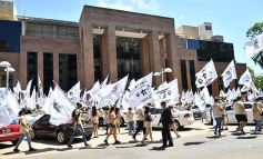 Foto de la galería: Con protocolos vigentes, asumieron los nuevos Diputados Misioneros