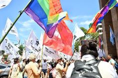 Foto de la galería: Con protocolos vigentes, asumieron los nuevos Diputados Misioneros