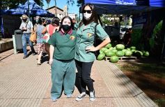Foto de la galería: Posadas en postales: trabajo, recorridas y amigos