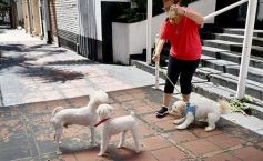 Foto de la galería: Posadas en postales: trabajo, recorridas y amigos