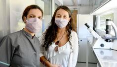 Foto de la galería: Posadas en postales: trabajo, recorridas y amigos