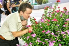 Foto de la galería: Posadas en postales: trabajo, recorridas y amigos