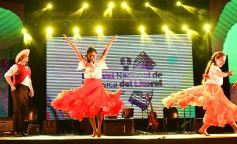 Foto de la galería: Folclore, baile y grandes artistas en el cierre del Festival del Litoral en Posadas