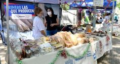 Foto de la galería: Feria Franca Navideña en Plaza San Martín de Posadas