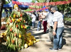 Foto de la galería: Feria Franca Navideña en Plaza San Martín de Posadas