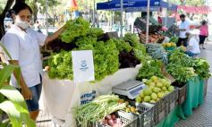 Foto de la galería: Feria Franca Navideña en Plaza San Martín de Posadas