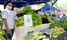 Foto de la galería: Feria Franca Navideña en Plaza San Martín de Posadas