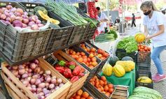 Foto de la galería: Feria Franca Navideña en Plaza San Martín de Posadas