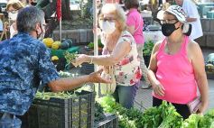 Foto de la galería: Feria Franca Navideña en Plaza San Martín de Posadas