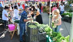 Foto de la galería: Feria Franca Navideña en Plaza San Martín de Posadas