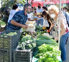 Foto de la galería: Feria Franca Navideña en Plaza San Martín de Posadas