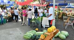 Foto de la galería: Feria Franca Navideña en Plaza San Martín de Posadas