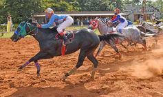 Sixto Fotografías. Deportes. Turf - Volvió el turf al hipódromo de Posadas