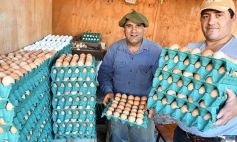 Sixto Fotografías. Sociedad. Productores Misioneros