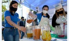 Sixto Fotografías. Sociedad. Ferias franca - Trabajo y festejo en el 26° aniversario de las Ferias Francas en Misiones