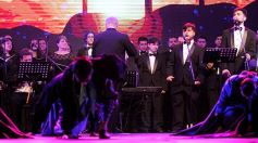 Foto de la galería: Postales exclusivas de lo que fue la última noche del 52° Festival del Litoral en Posadas