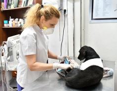 Foto de la galería: Amigos, reencuentro y mucha buena onda en la ciudad capital