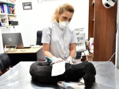 Foto de la galería: Amigos, reencuentro y mucha buena onda en la ciudad capital