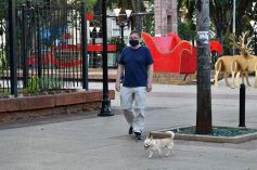 Foto de la galería: Muestra Fotográfica de Aves del COA Tangará de Posadas
