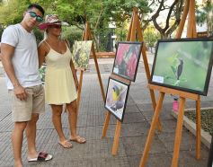 Foto de la galería: Muestra Fotográfica de Aves del COA Tangará de Posadas