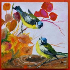 Foto de la galería: Muestra Fotográfica de Aves del COA Tangará de Posadas