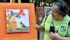 Foto de la galería: Muestra Fotográfica de Aves del COA Tangará de Posadas