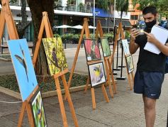 Foto de la galería: Muestra Fotográfica de Aves del COA Tangará de Posadas