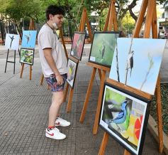 Foto de la galería: Muestra Fotográfica de Aves del COA Tangará de Posadas