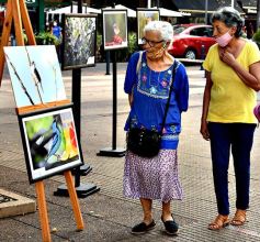 Foto de la galería: Muestra Fotográfica de Aves del COA Tangará de Posadas