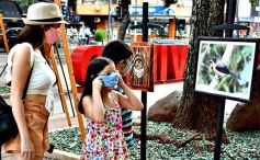 Foto de la galería: Muestra Fotográfica de Aves del COA Tangará de Posadas