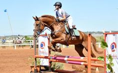 Foto de la galería: Talento misionero presente en torneo de equitación en Posadas