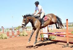 Foto de la galería: Talento misionero presente en torneo de equitación en Posadas