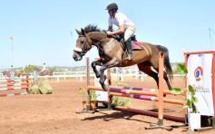 Foto de la galería: Talento misionero presente en torneo de equitación en Posadas