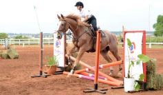 Foto de la galería: Talento misionero presente en torneo de equitación en Posadas